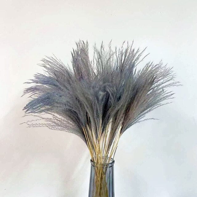 15pcs White Grey Pampas Grass Dried Flower