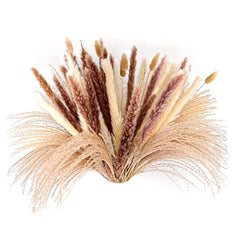 70Pcs Pampas Grass